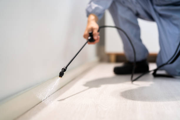 Licensed Termite Control service in Dayton, OH - Nex Pest Control