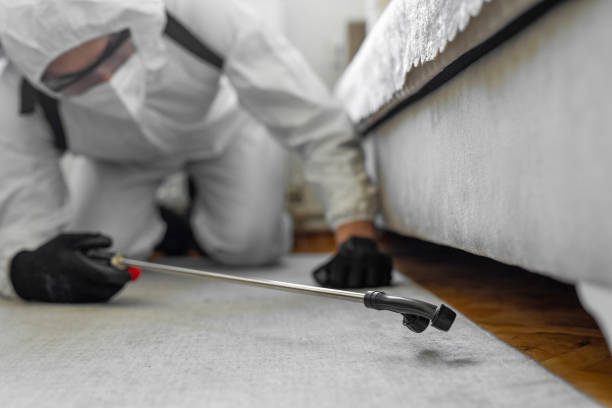 Professional Termite Control technician working in Dayton, OH