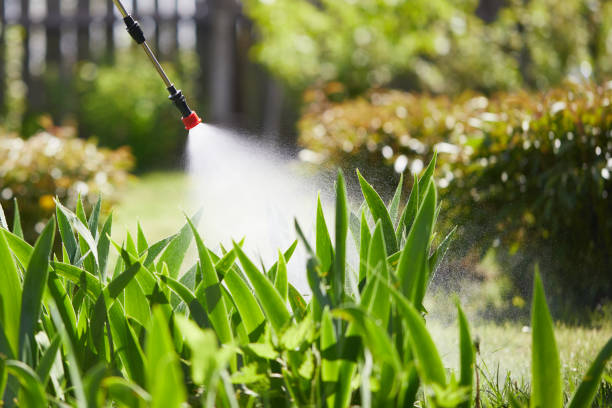 24/7 Emergency Termite Control experts in Dayton, OH