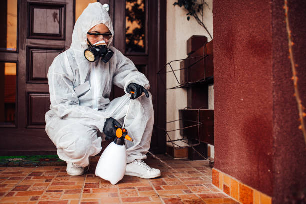Reliable Termite Control contractor in Dayton, OH by Nex Pest Control