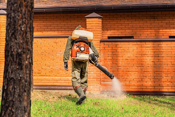 Top rated local Termite Control specialists in Dayton, OH